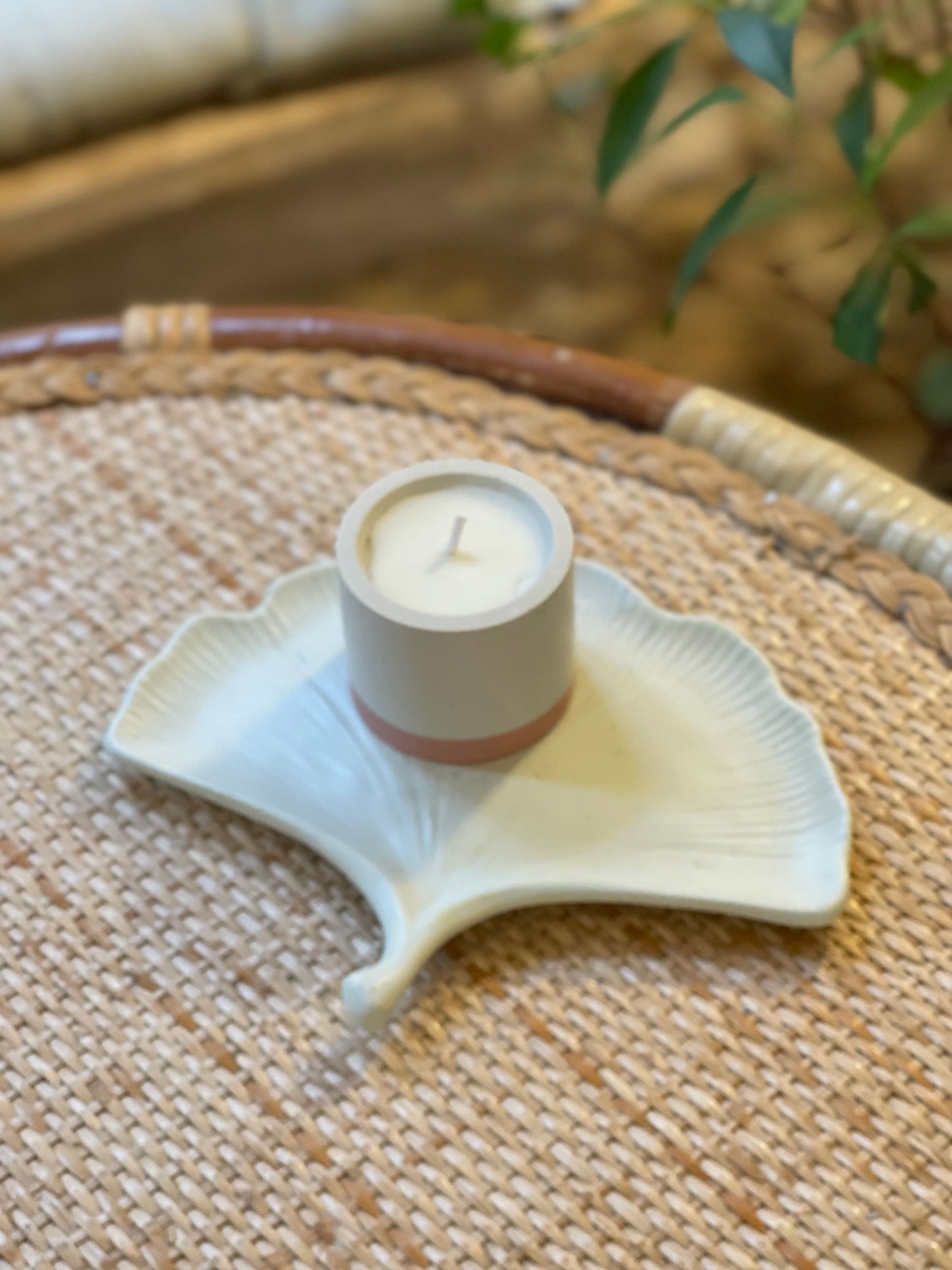 The ginkgo leaf set 2