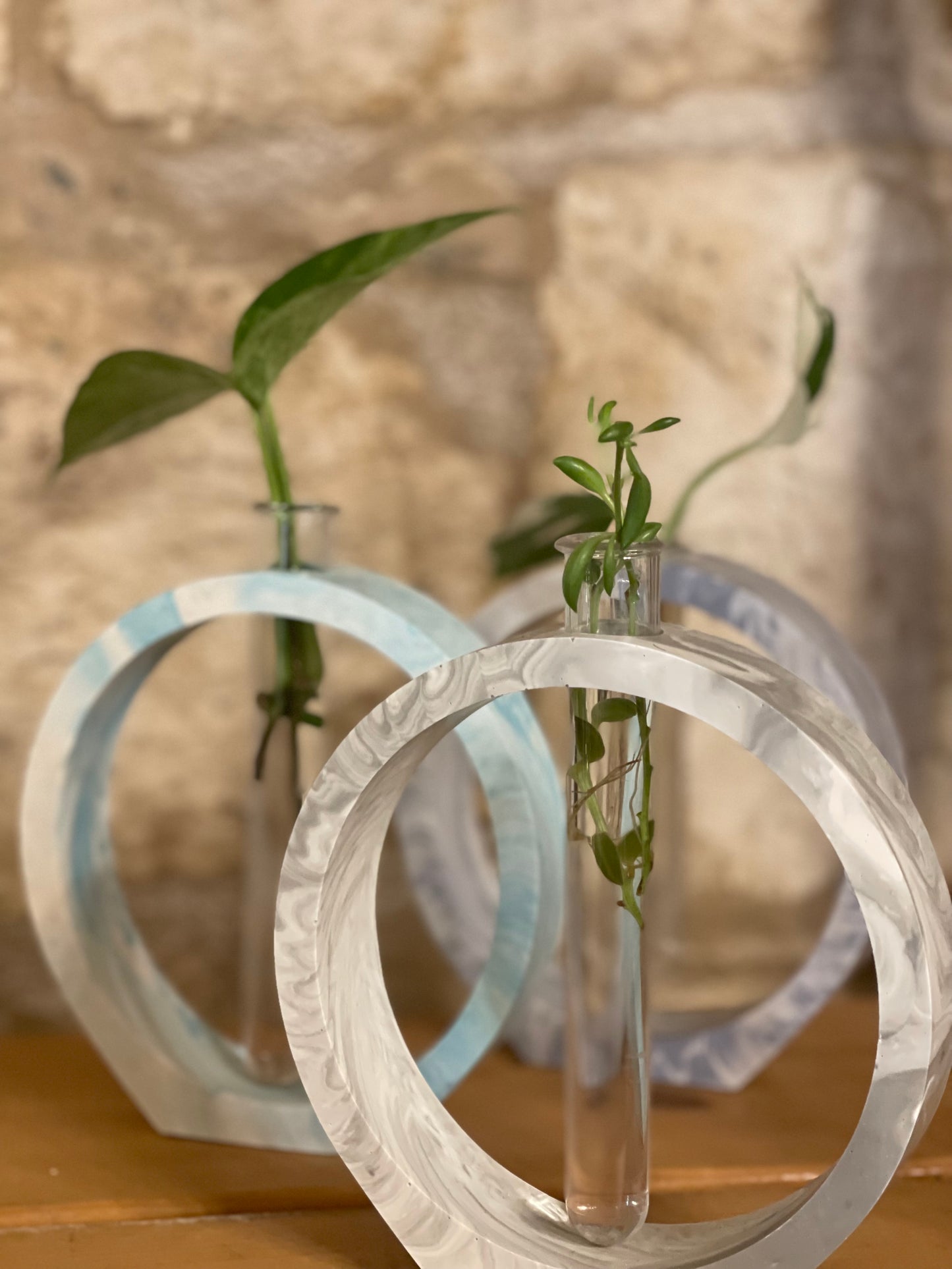 Literally ROOTED – the propagation station \ round