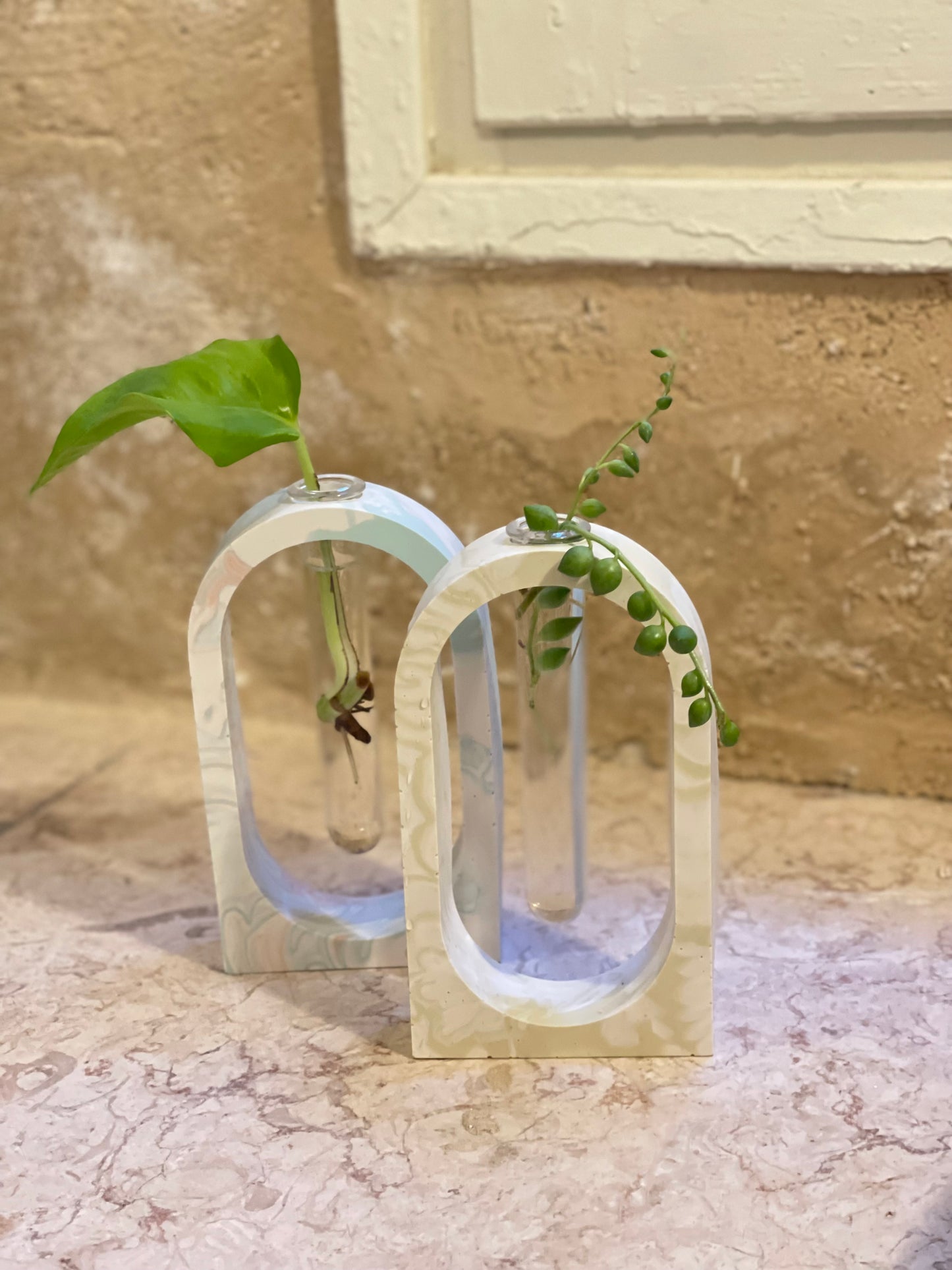 Literally ROOTED – the propagation station