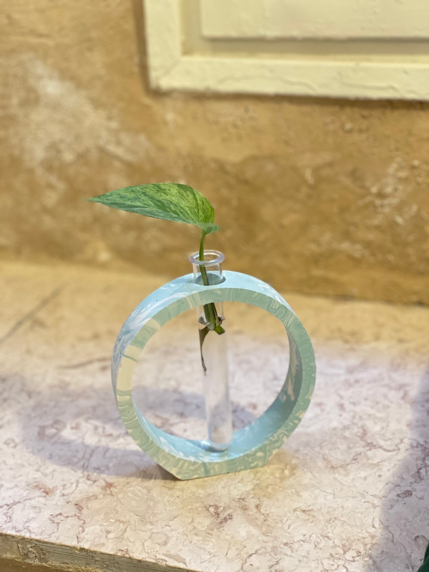 Literally ROOTED – the propagation station \ round