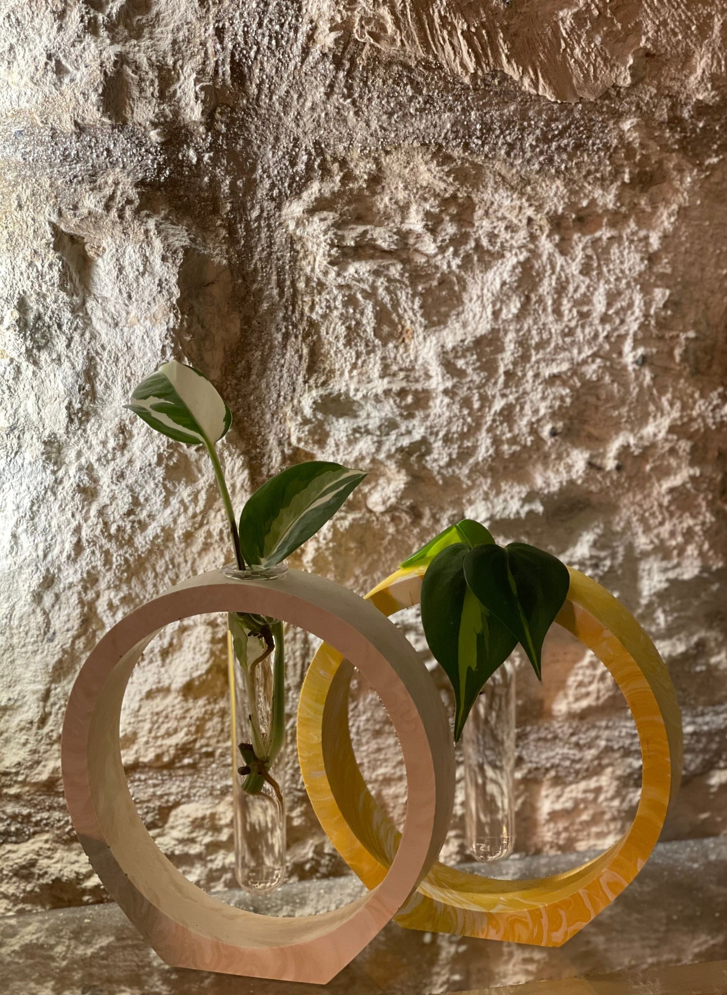 Literally ROOTED – the propagation station \ round