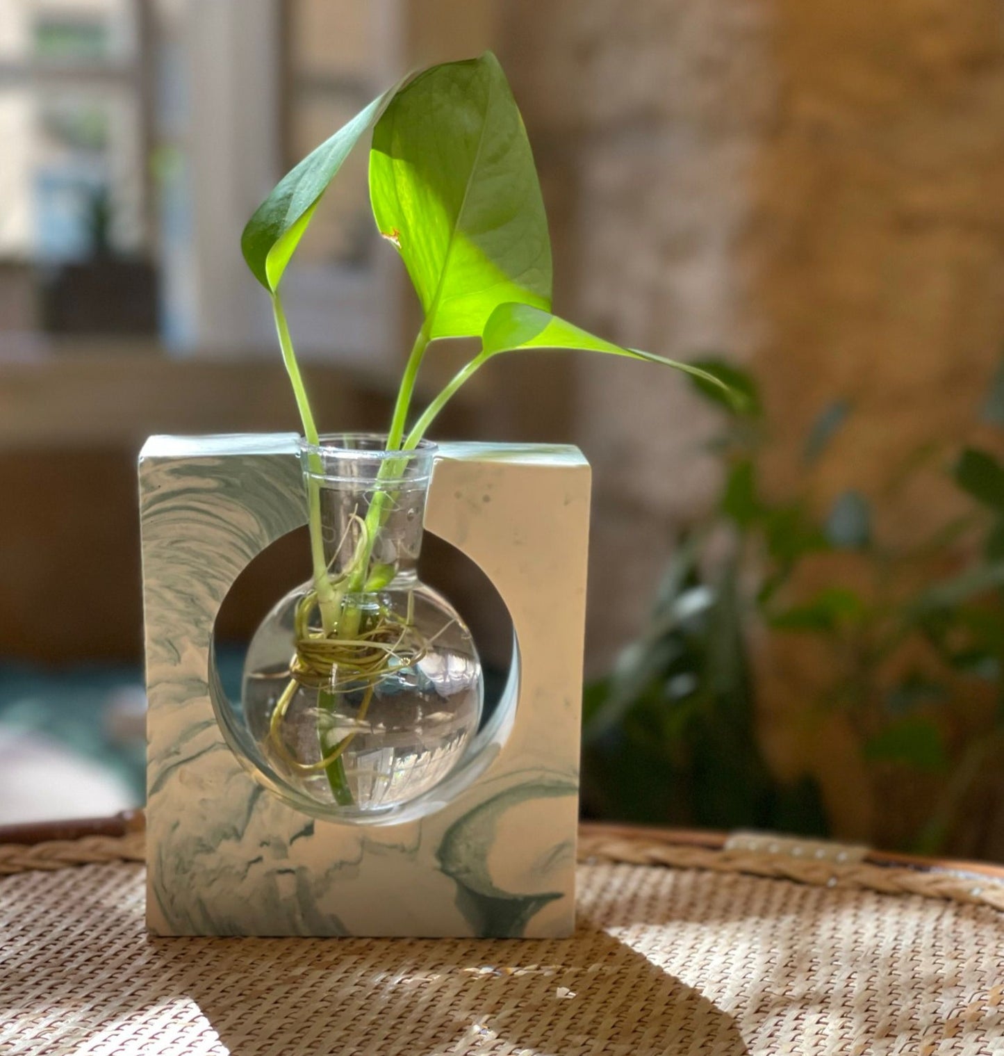 ROOTED – the propagation station