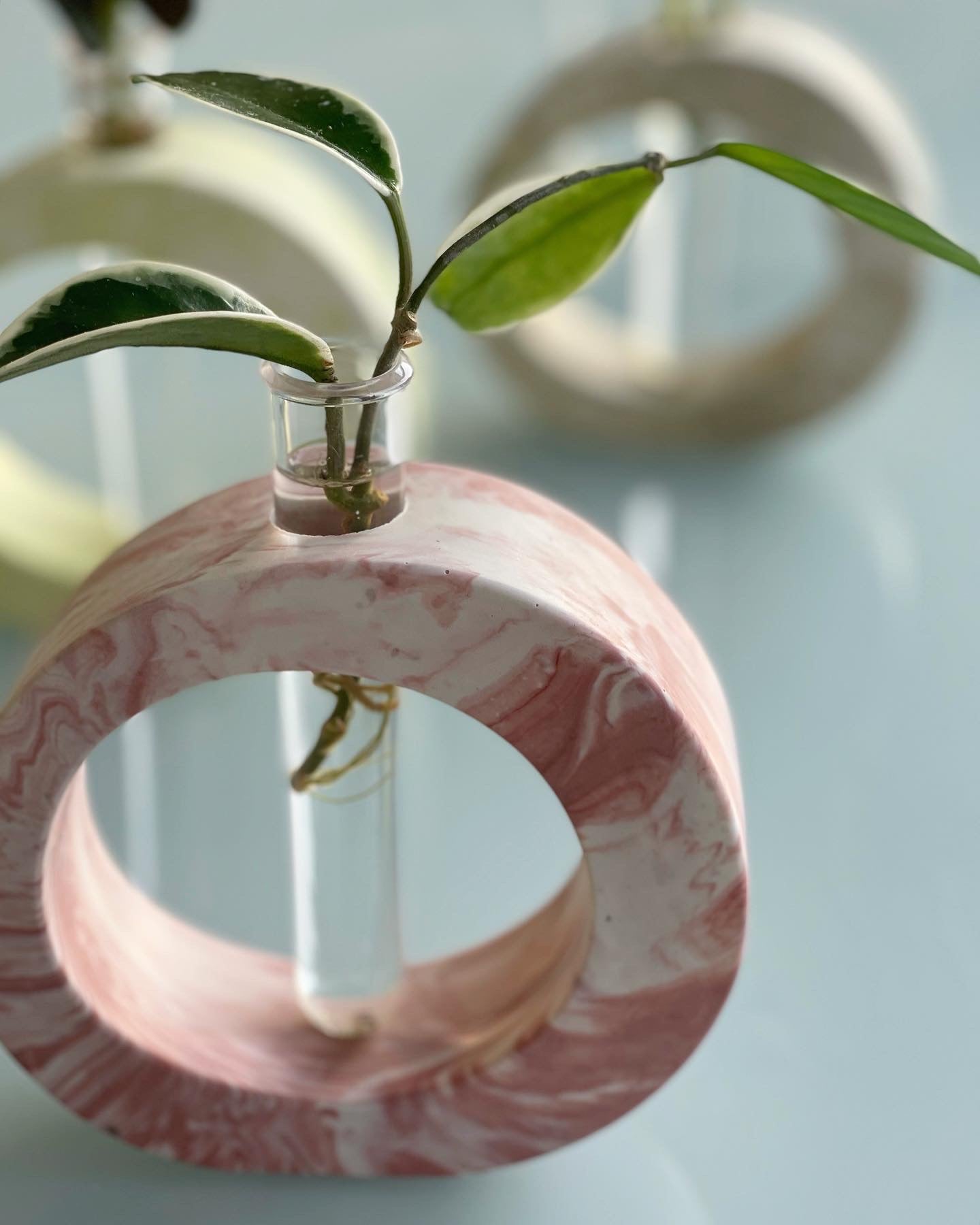 Literally ROOTED – the propagation station
