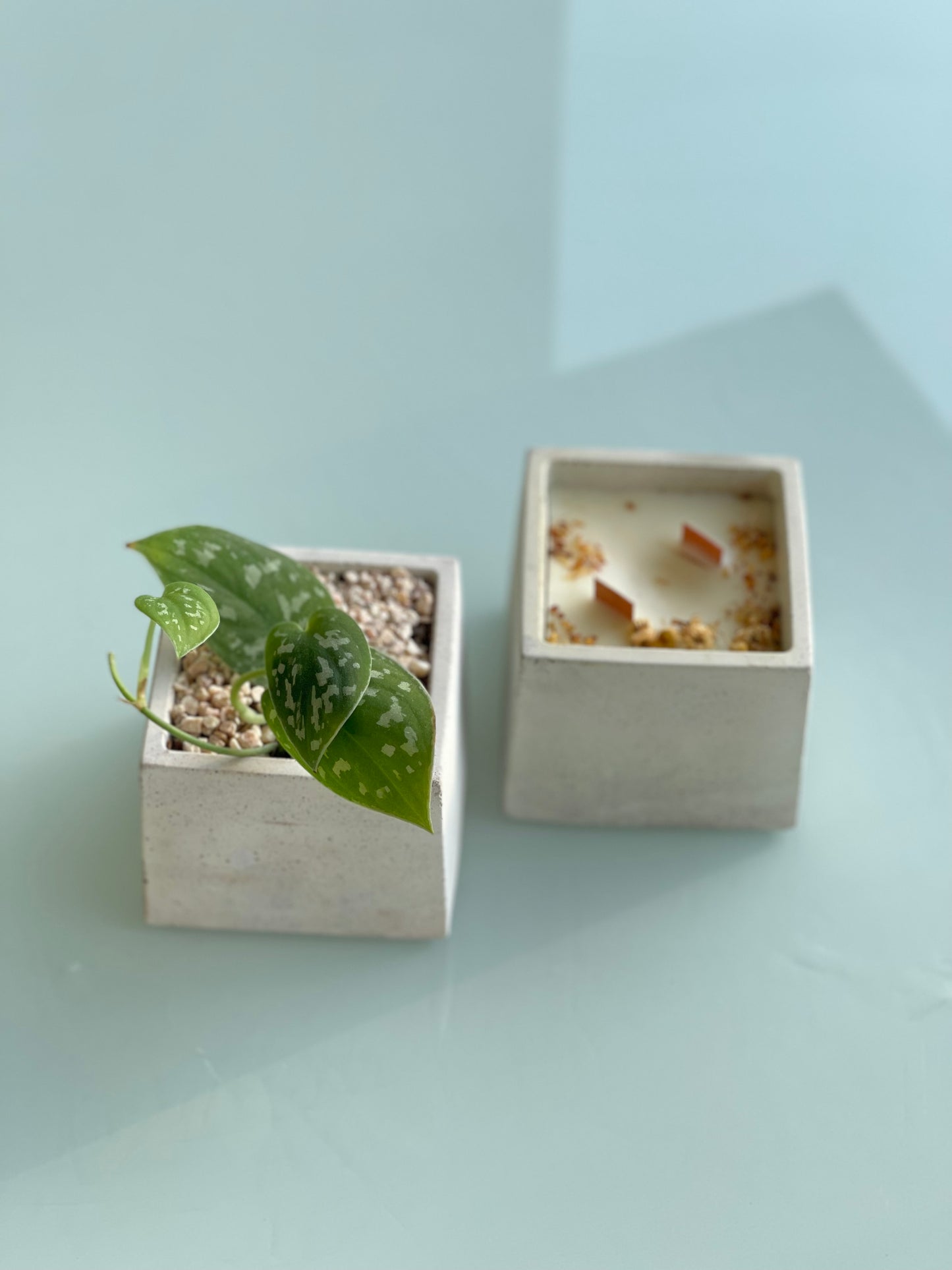 The squares set